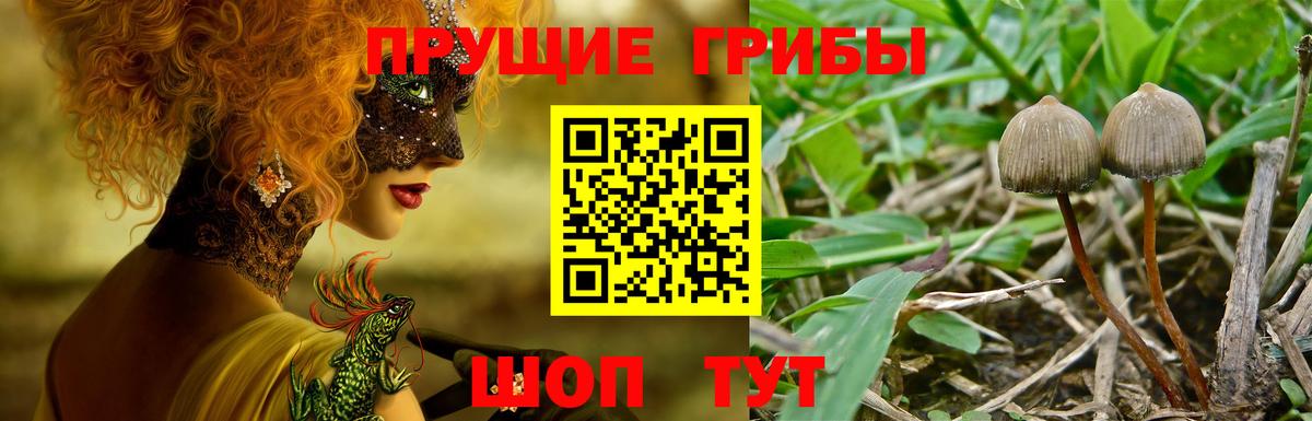 Серов  Галлюциногенные грибы мухоморы  Вход с VPN 