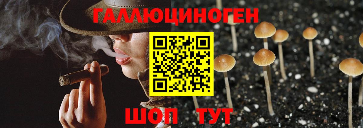 Псилоцибиновые грибы ЛСД Серов